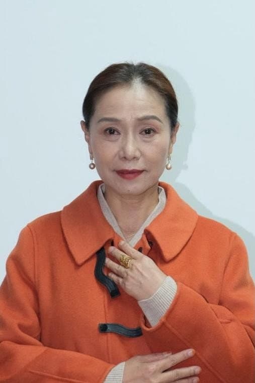 Li Hongmei